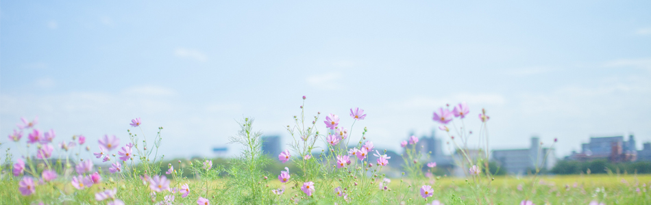 花と空